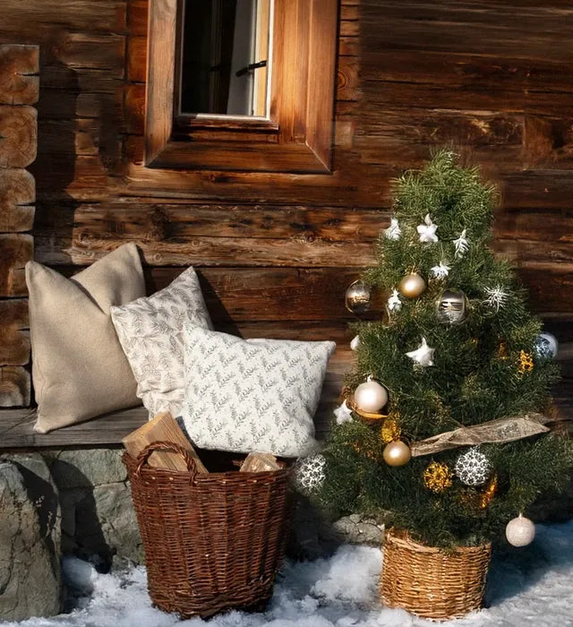PROFLAX Winter & XMAS
