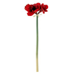 Bloomingville Amaryllis Stiel